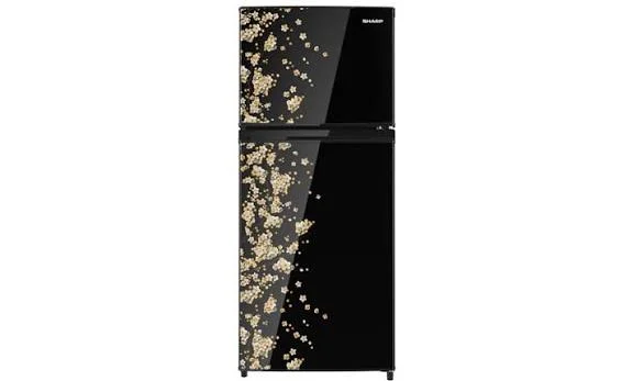 Sharp Kulkas 2 Pintu SJ-195MD-SB/SY