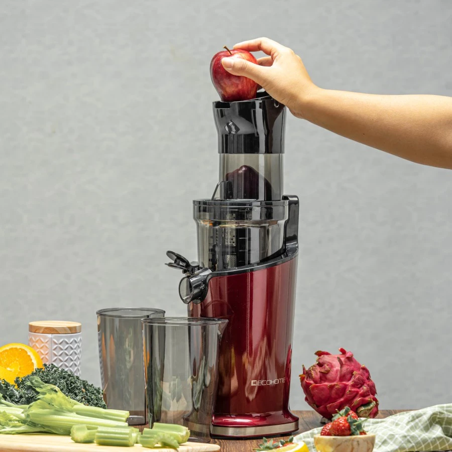 SLOW JUICER ECOHOME ESJ999 ESJ-999 ESJ 999 Cold Pressed Fruit Extractor 65 RPM