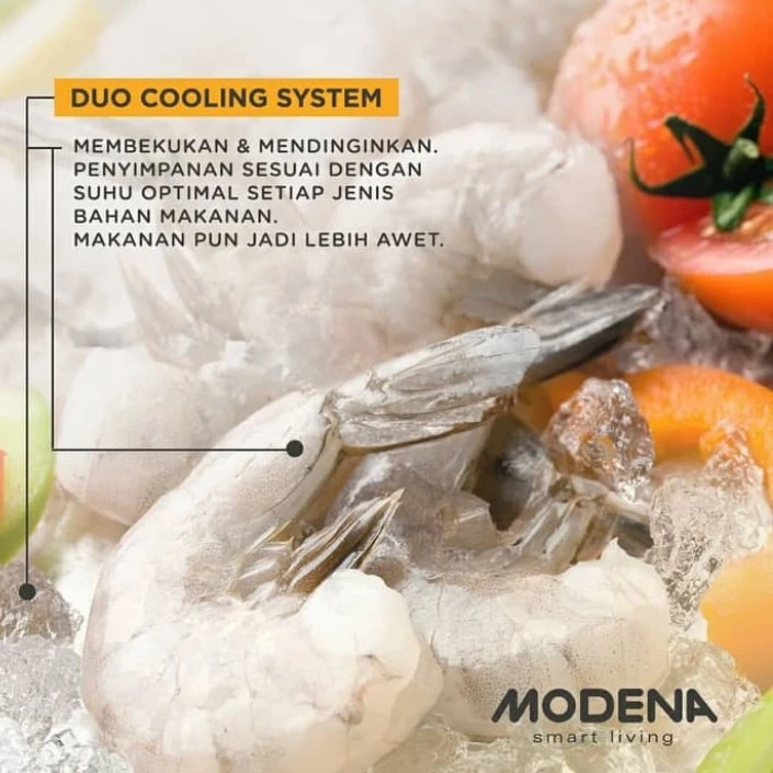 FREEZER BOX Modena 210Liter MD 0211MAWH daging Pro md-0211